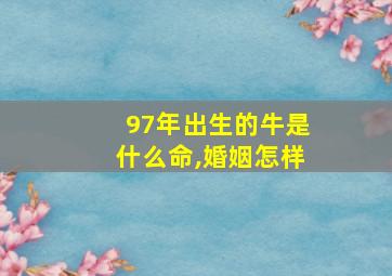 97年出生的牛是什么命,婚姻怎样