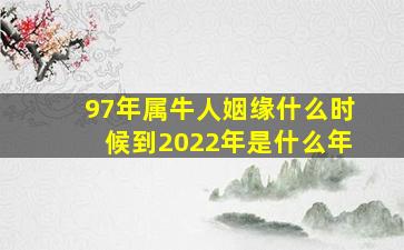 97年属牛人姻缘什么时候到2022年是什么年