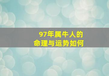 97年属牛人的命理与运势如何