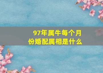 97年属牛每个月份婚配属相是什么