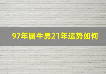 97年属牛男21年运势如何