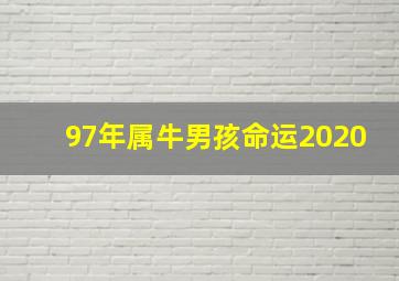 97年属牛男孩命运2020