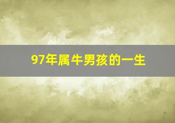 97年属牛男孩的一生