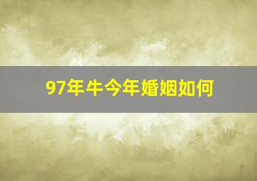 97年牛今年婚姻如何