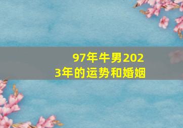 97年牛男2023年的运势和婚姻