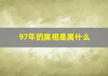 97年的属相是属什么