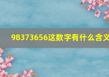 98373656这数字有什么含义