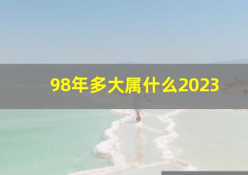 98年多大属什么2023