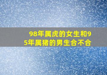 98年属虎的女生和95年属猪的男生合不合