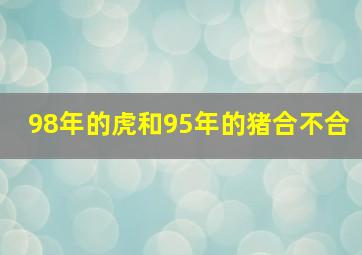 98年的虎和95年的猪合不合