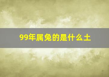 99年属兔的是什么土