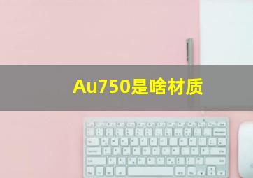 Au750是啥材质