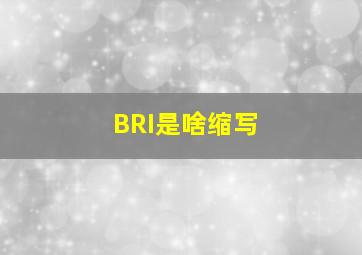 BRI是啥缩写