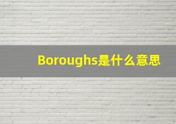 Boroughs是什么意思