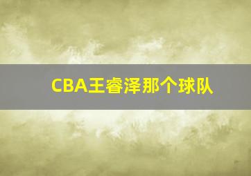 CBA王睿泽那个球队