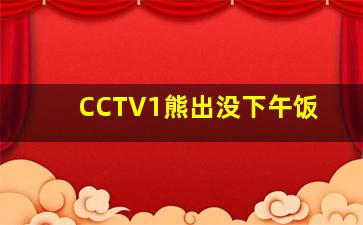 CCTV1熊出没下午饭