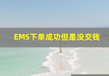 EMS下单成功但是没交钱