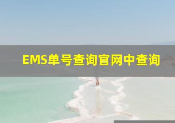 EMS单号查询官网中查询