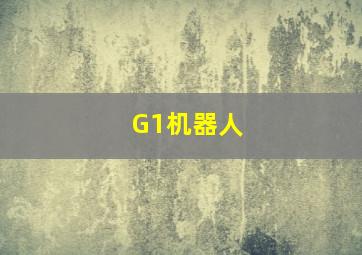 G1机器人