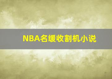 NBA名缓收割机小说