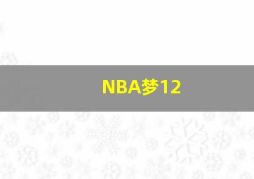 NBA梦12