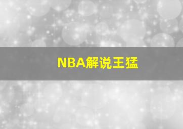 NBA解说王猛