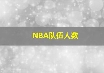 NBA队伍人数