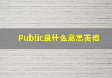 Public是什么意思英语