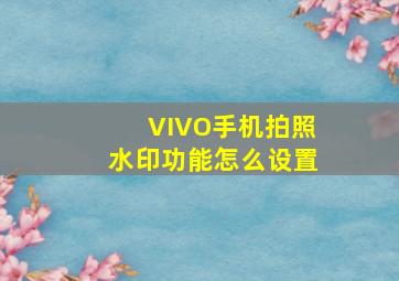 VIVO手机拍照水印功能怎么设置