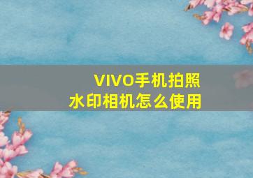 VIVO手机拍照水印相机怎么使用