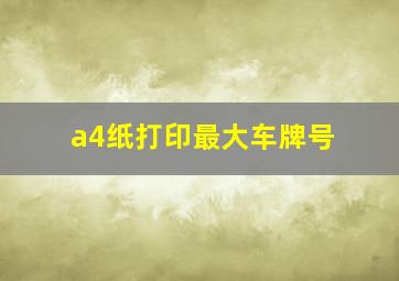 a4纸打印最大车牌号