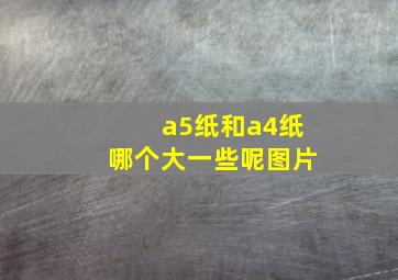 a5纸和a4纸哪个大一些呢图片