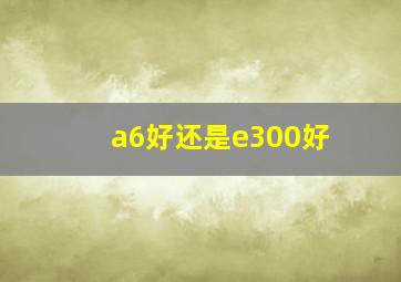 a6好还是e300好