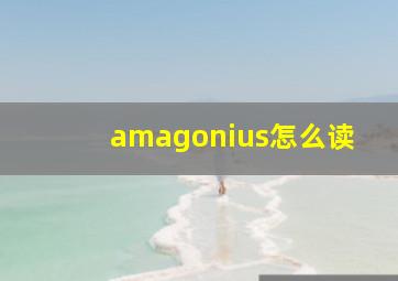 amagonius怎么读