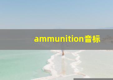 ammunition音标