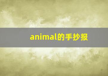 animal的手抄报