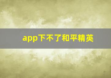 app下不了和平精英