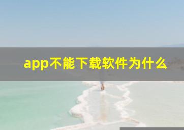 app不能下载软件为什么