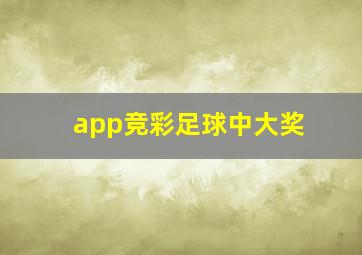 app竞彩足球中大奖