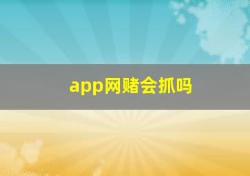 app网赌会抓吗