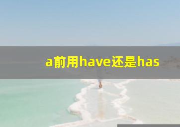 a前用have还是has