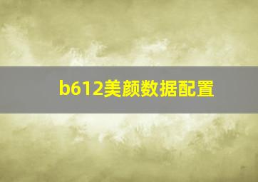 b612美颜数据配置