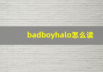 badboyhalo怎么读