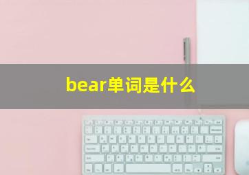 bear单词是什么