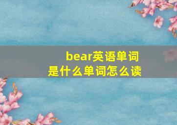 bear英语单词是什么单词怎么读