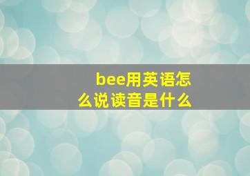 bee用英语怎么说读音是什么