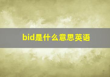 bid是什么意思英语