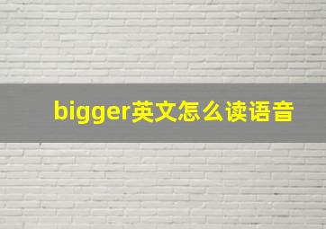 bigger英文怎么读语音