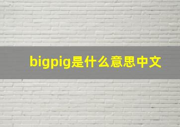 bigpig是什么意思中文