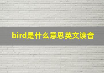 bird是什么意思英文读音